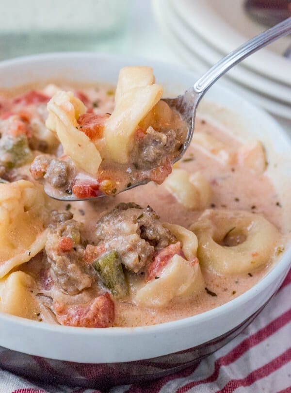 Spoon holding some of the soup up from bowl