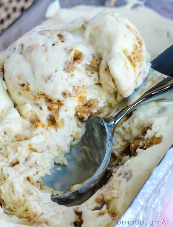 ice cream scoop in Apple Crisp ice cream