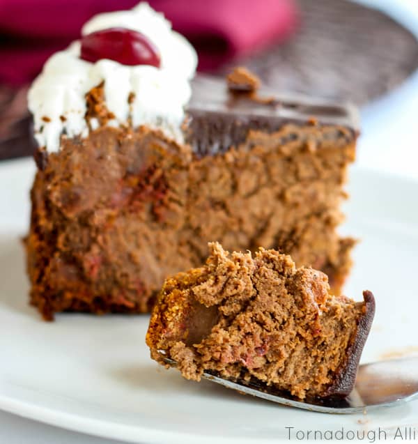 Chocolate Chili Cheesecake with fork holding a piece out of slice