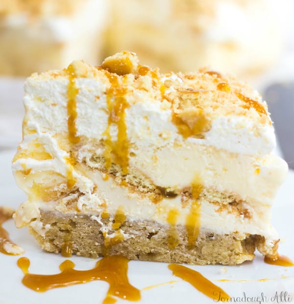 Side view of ice cream cake drizzled with caramel