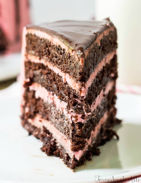 Close up of cake on white plate showing layers