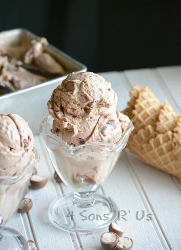 Chocolate Malt Crunch Ice Cream in two serving dishes