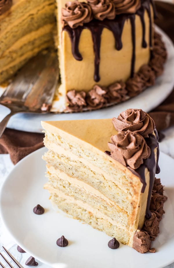 Overhead photo of slice of cake on white plate