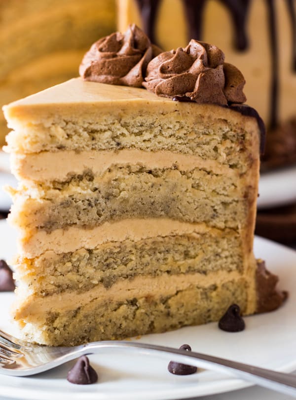 Close up of cake on plate showing layers of cake and frosting