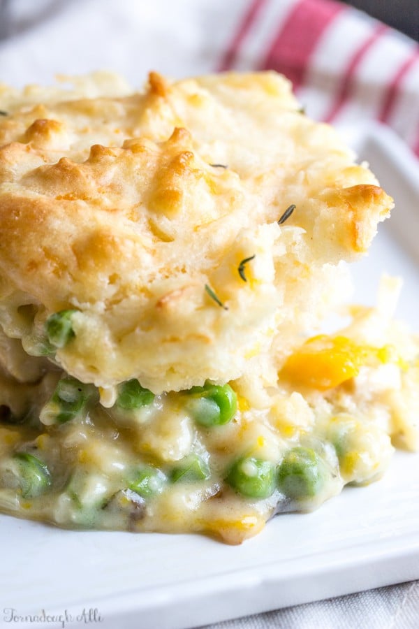 Close up of pot pie on white plate