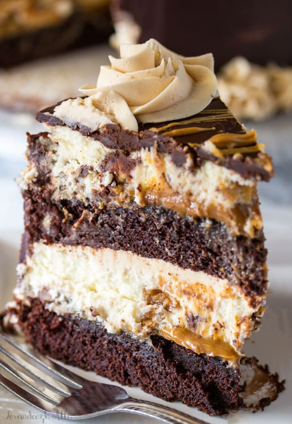 Slice of Copycat Cheesecake Factory Reese's Peanut Butter Chocolate Cake Cheesecake on white plate with fork