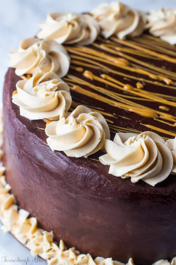 Copycat Cheesecake Factory Reese's Peanut Butter Chocolate Cake Cheesecake  - Tornadough Alli