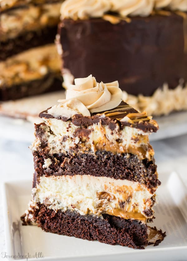 Copycat Cheesecake Factory Reese's Peanut Butter Chocolate Cake Cheesecake on white plate