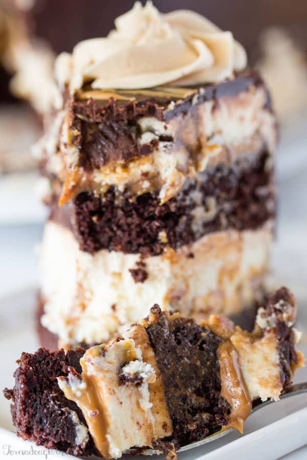 Copycat Cheesecake Factory Reese's Peanut Butter Chocolate Cake Cheesecake with slice on fork