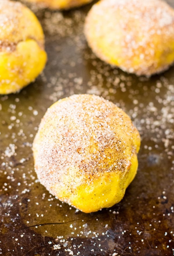 Close up of one Cinnamon Sugar Pumpkin Pretzel Bite