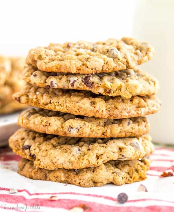 Sea Salt Hazelnut Chocolate Chip Oatmeal Cookies close up and stacked