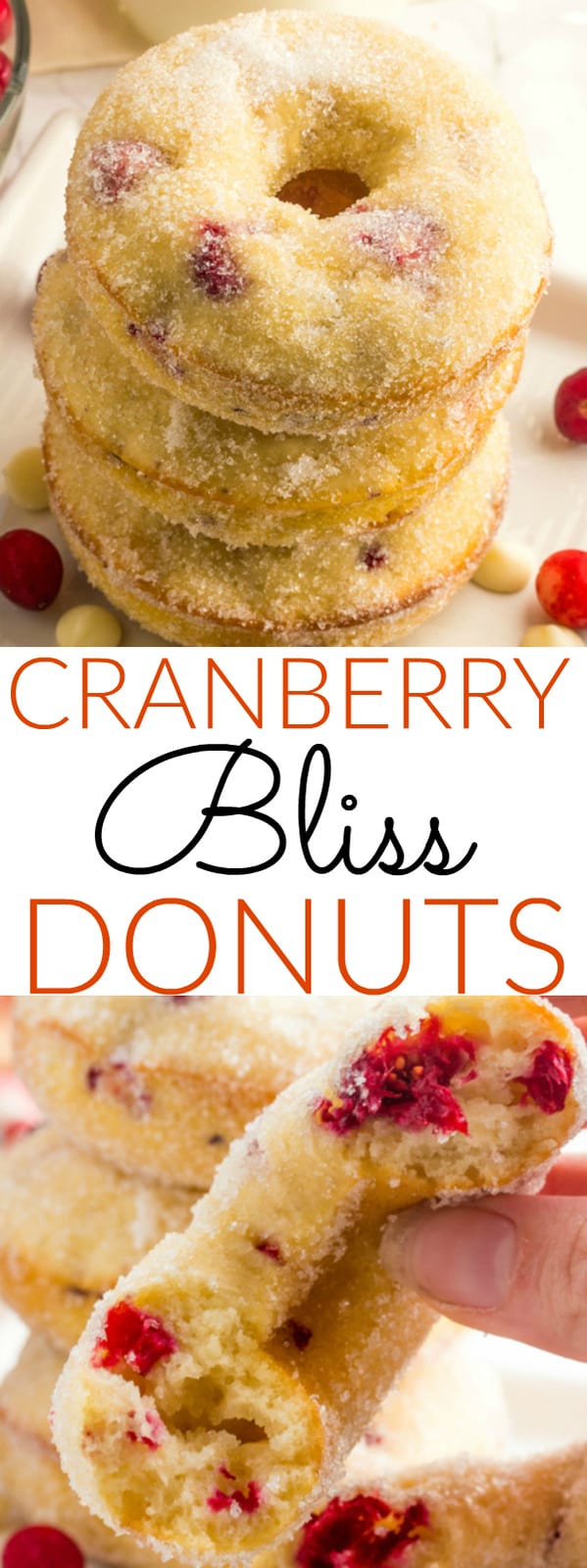 Cranberry Bliss Donuts collage with words in middle