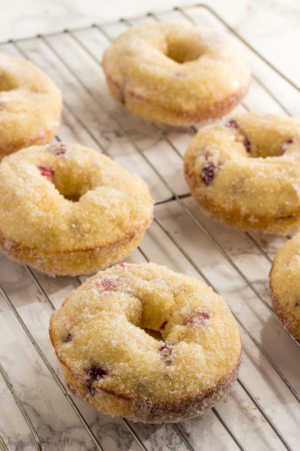 Cranberry Bliss Donuts on wire rack