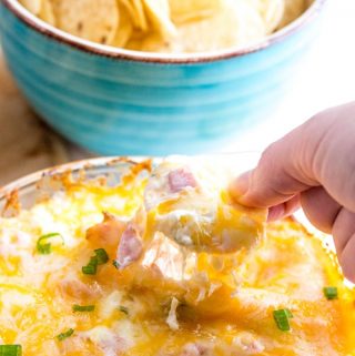 Hawaiian Pizza Dip