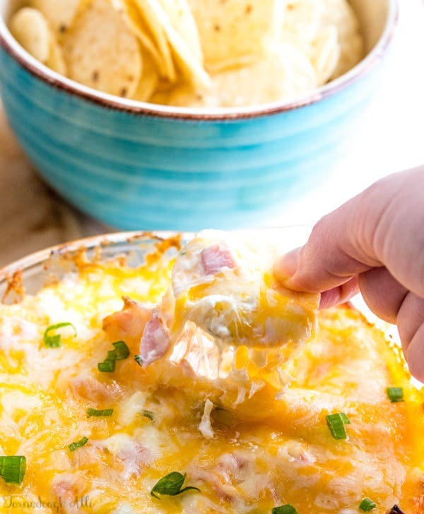 Hawaiian Pizza Dip