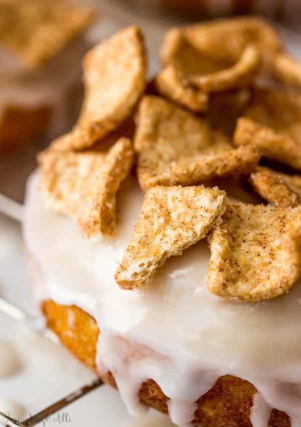 Cinnamon Sugar Mini Donuts - Tornadough Alli