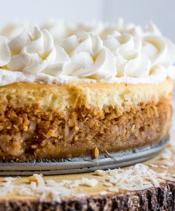 Coconut Cream Cheesecake