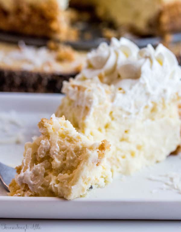 Coconut Cream Cheesecake - Tornadough Alli