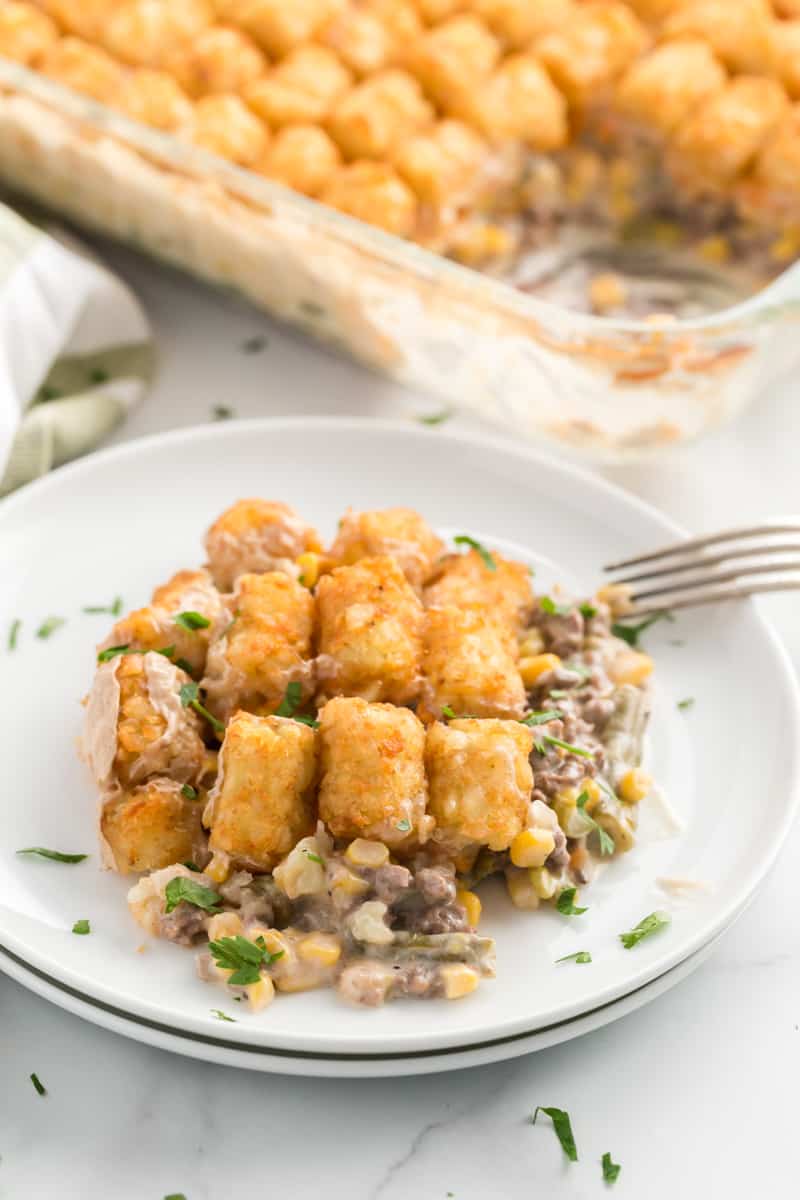 Hot dish on plate with pan of hot dish in background