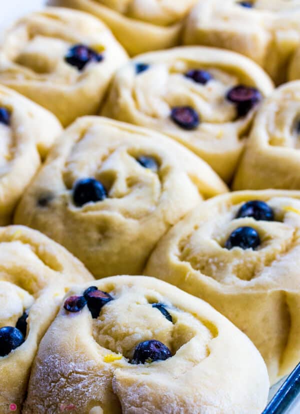 Blueberry Lemon Sweet Rolls