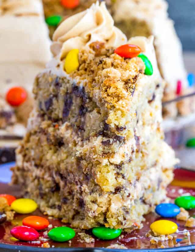 Monster Cookie Cake {A Fun Cake Spin on a Classic Cookie Recipe}