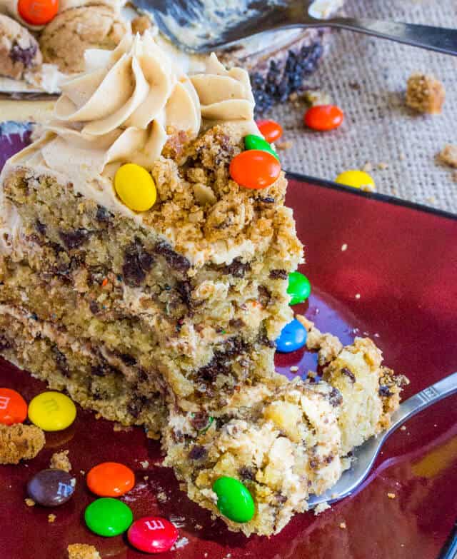 Monster Cookie Cake