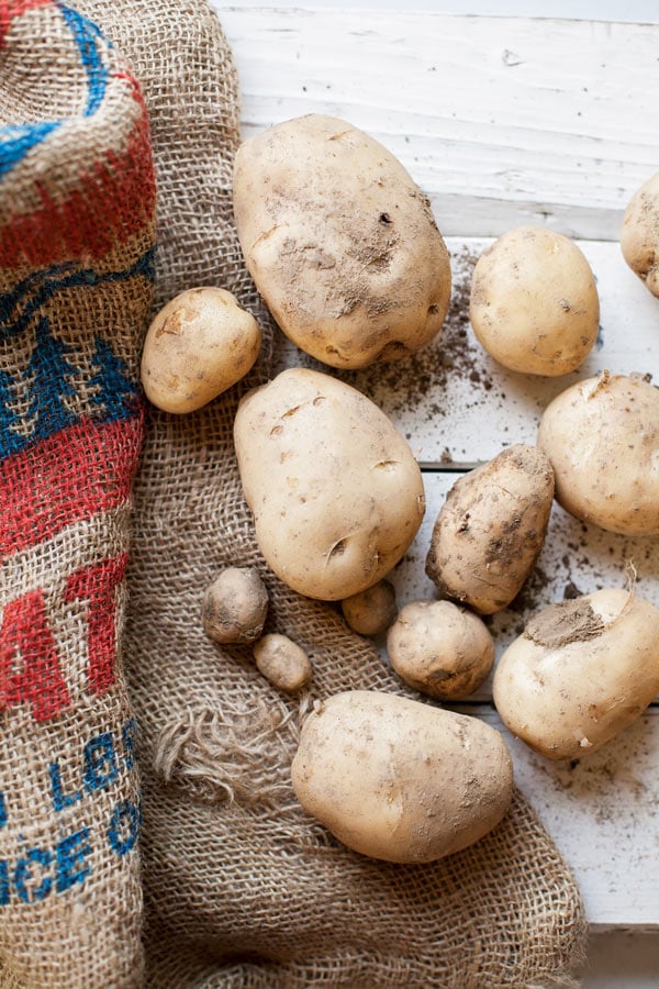 A simple side made with seasonal ingredients, butter parsley new potatoes put the freshness of summer to good use. 