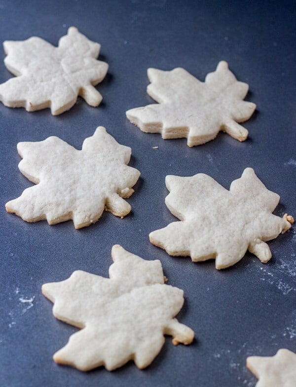 Falling Leaves Sugar Cookies