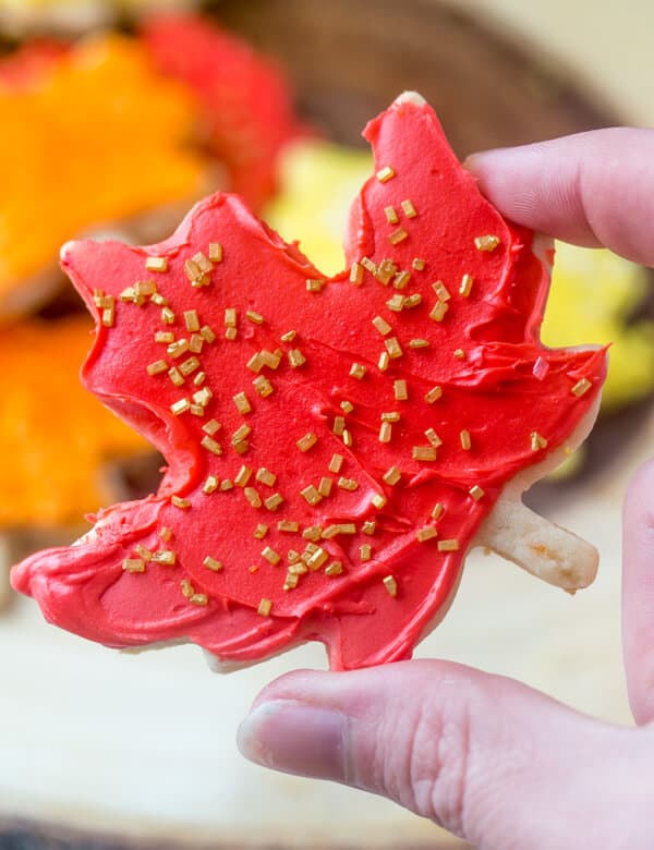 Falling Leaves Sugar Cookies