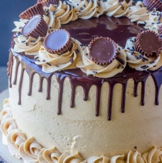 Chocolate Peanut Butter Cup Cake