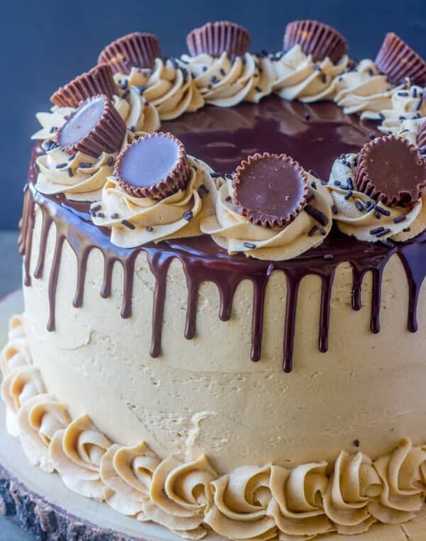 Chocolate Peanut Butter Cup Cake