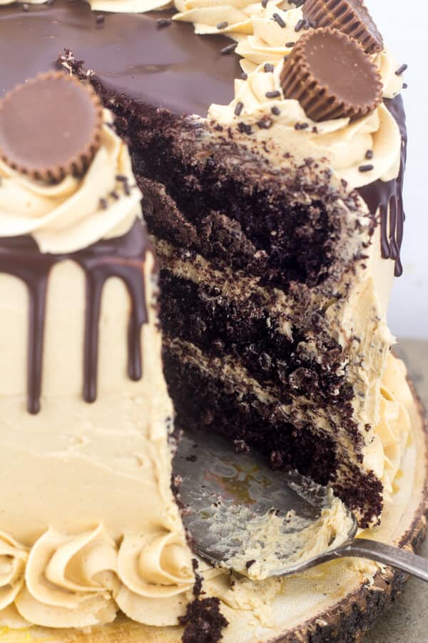 Chocolate Peanut Butter Cup Cake