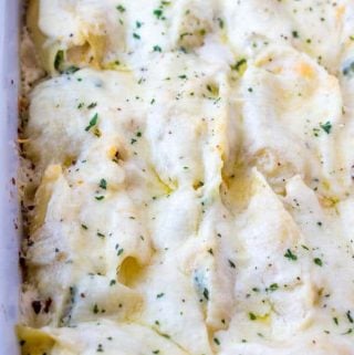 Chicken Alfredo Stuffed Shells