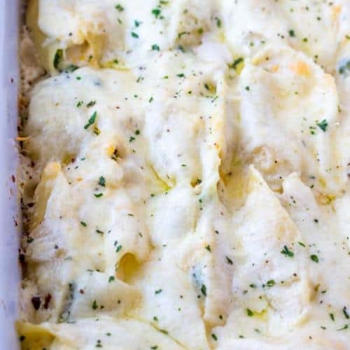 Easy Chicken Alfredo Stuffed Shells Recipe