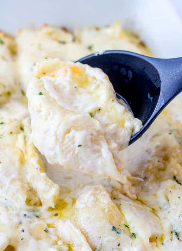 Chicken and Broccoli Alfredo Stuffed Shells