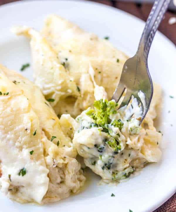 Chicken Alfredo Stuffed Shells Recipe