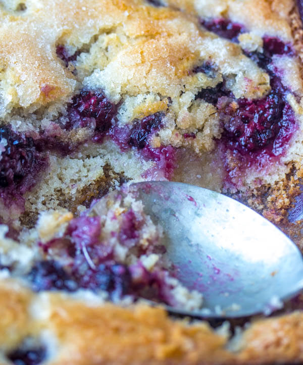 Easy Blackberry Cobbler {A Simple Fresh Berry Dessert}