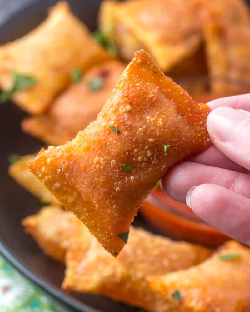 deep fried pizza rolls