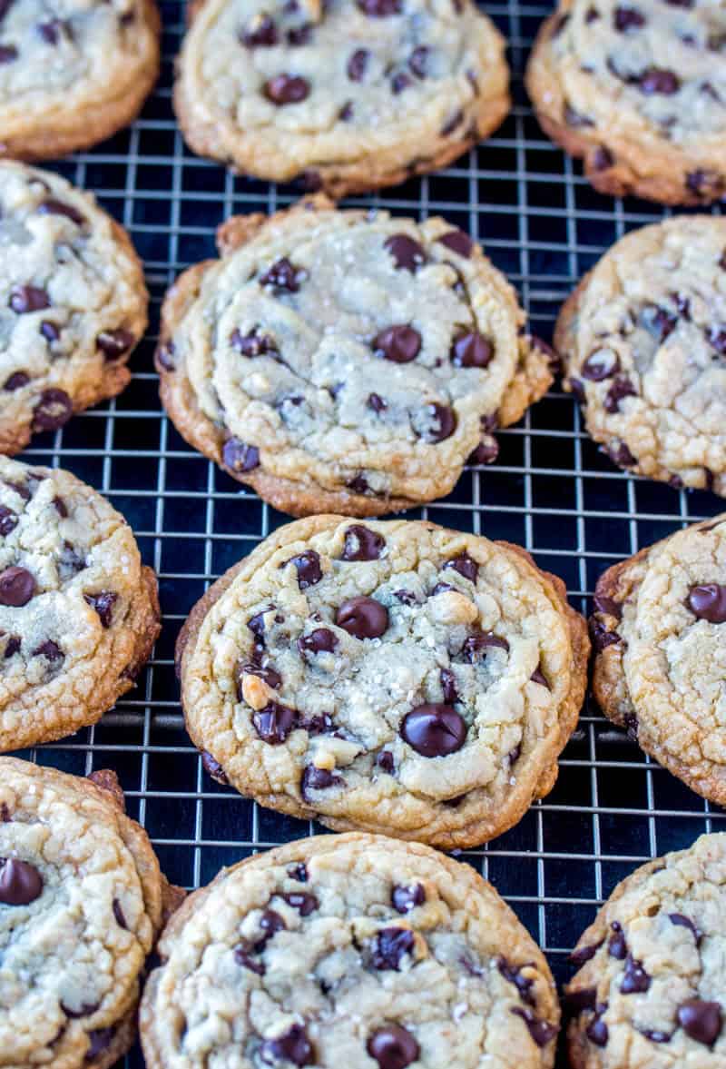 Chewy Chocolate Chip Cookies Recipe
