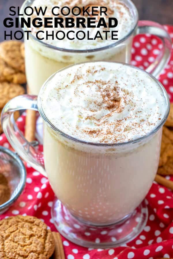 Slow Cooker Gingerbread Hot Chocolate