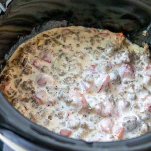 Served Up With Love: Crock Pot Sausage Dip