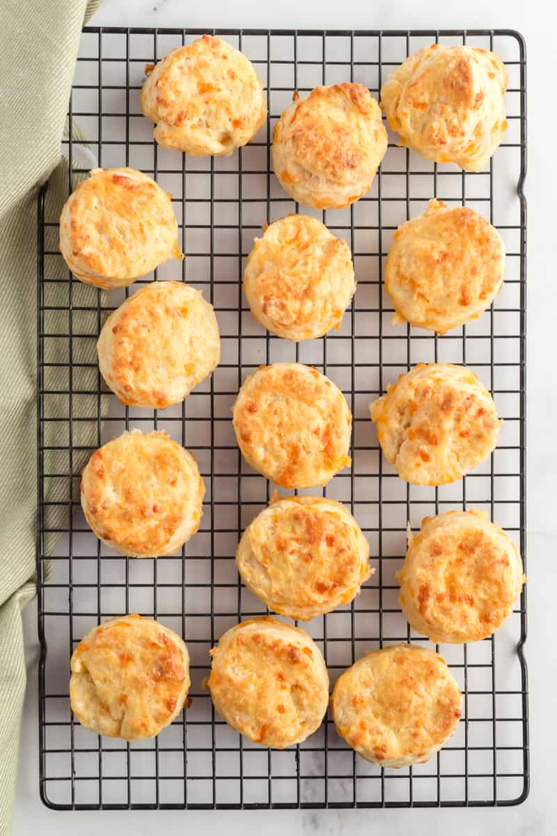 Golden and cheesy cheddar biscuits cooling on wire rack