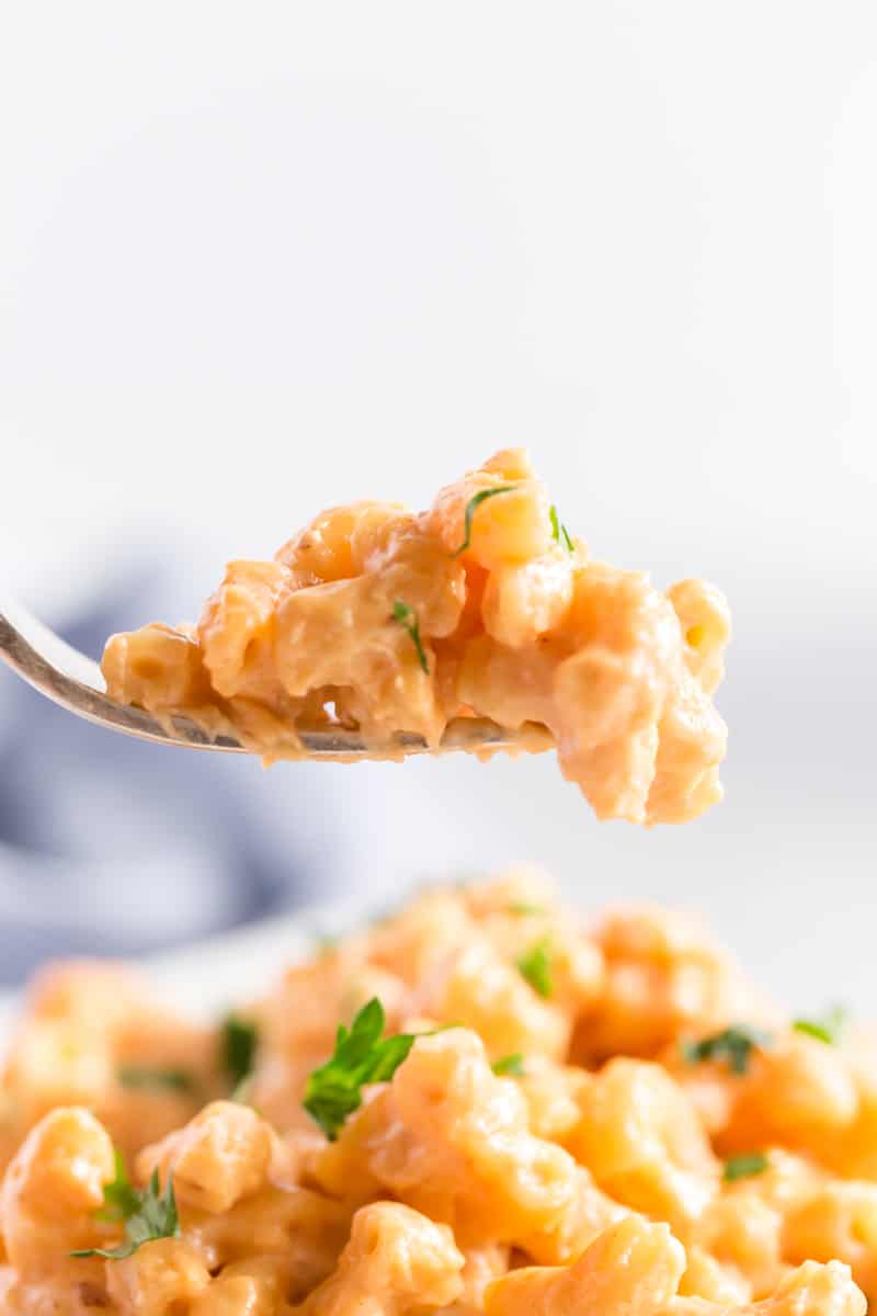 Fork full of creamy slow cooker Mac and cheese