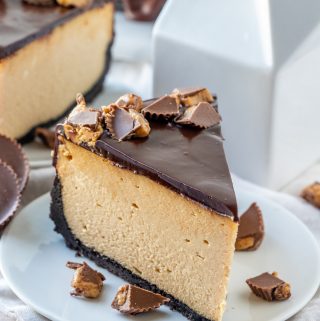 Slice of Peanut Butter Cheesecake on white plate surrounded by diced peanut butter cups