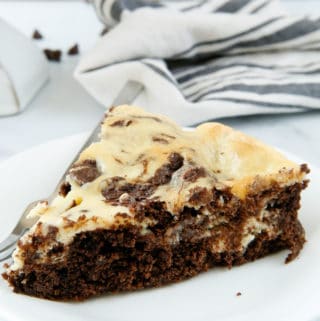 Closeup of Brownie Cake on white plate