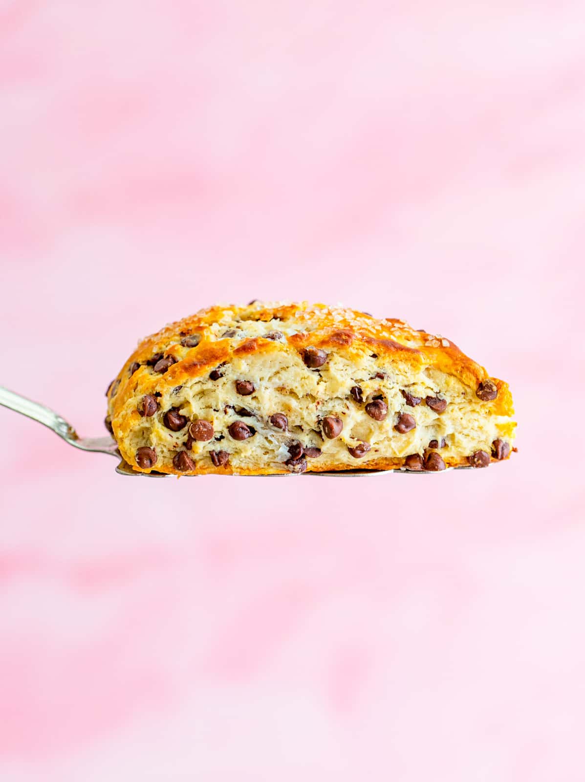Spatula holding up one Chocolate Chip Scone.