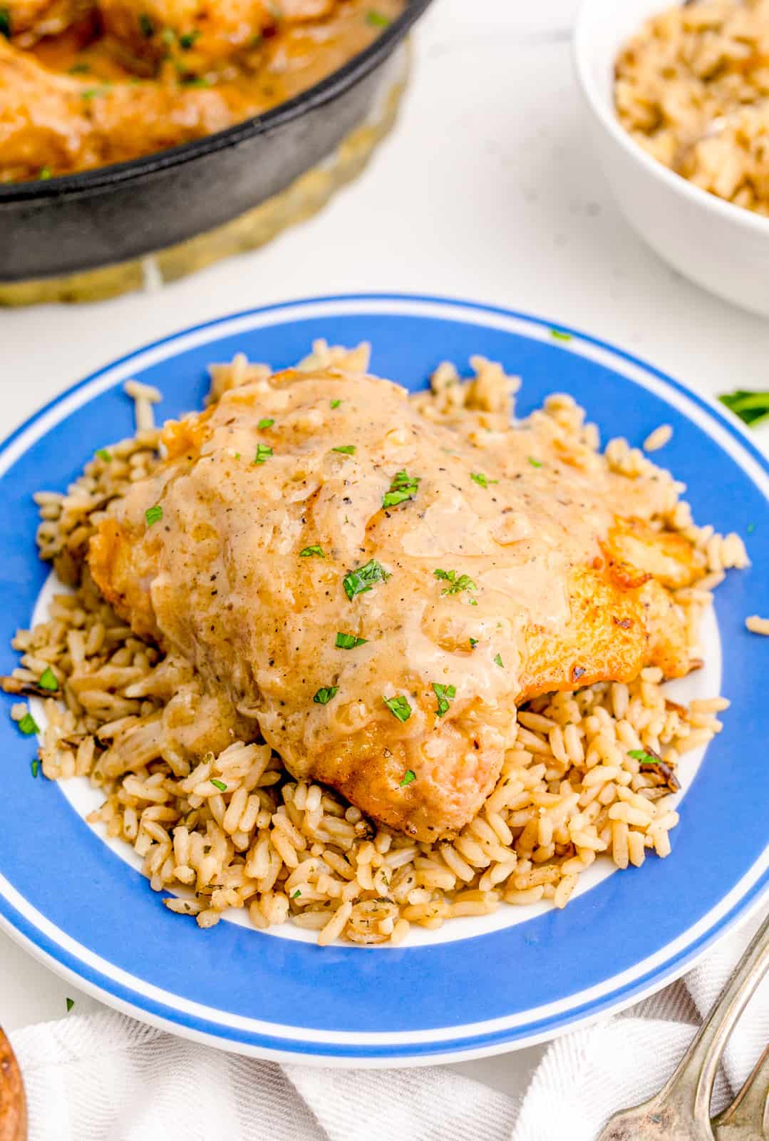 Smothered Chicken served over rice on plate.