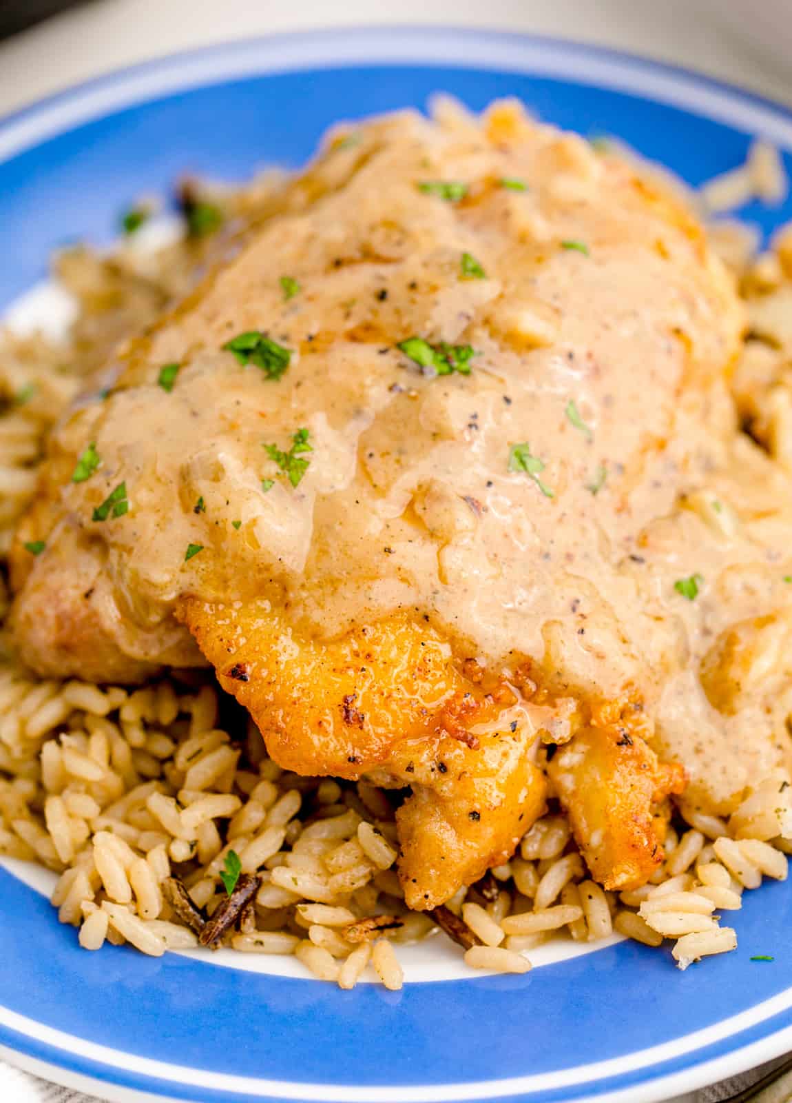 Close up of a piece of chicken over rice on plate.