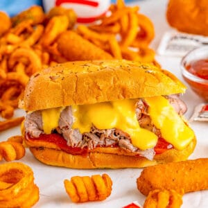 Square image of one sandwich with melty cheese with curly fries and mozzarella sticks around it.