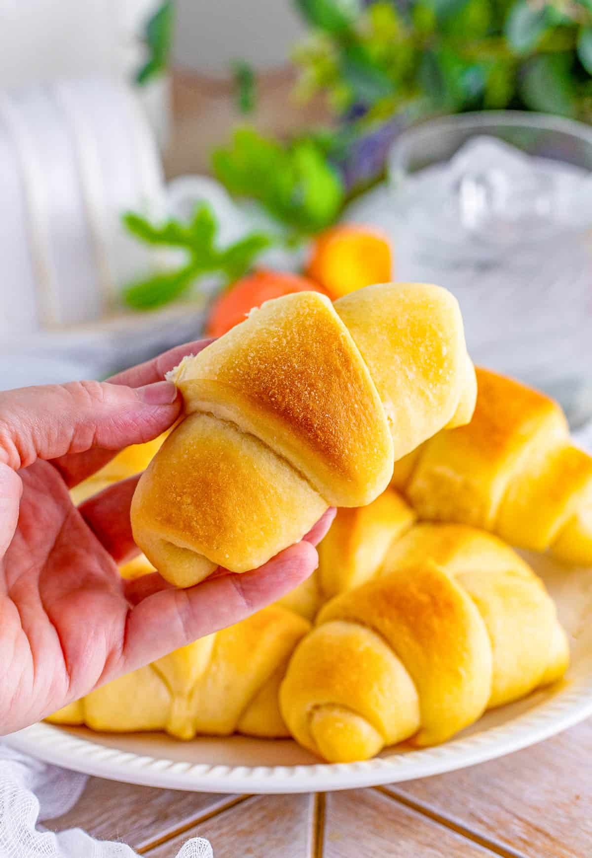 Hand holding up one Crescent Roll.